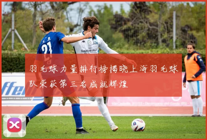 羽毛球力量排行榜揭晓上海羽毛球队荣获第三名成就辉煌