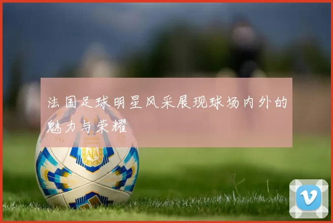 法国足球明星风采展现球场内外的魅力与荣耀