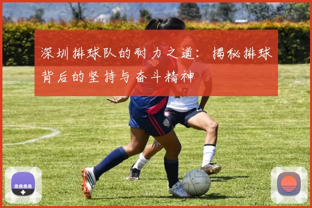 深圳排球队的耐力之道：揭秘排球背后的坚持与奋斗精神