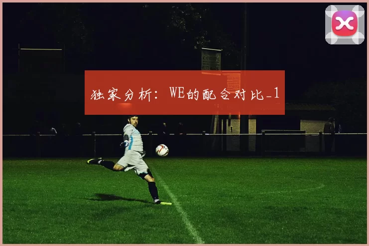 独家分析：WE的配合对比_1