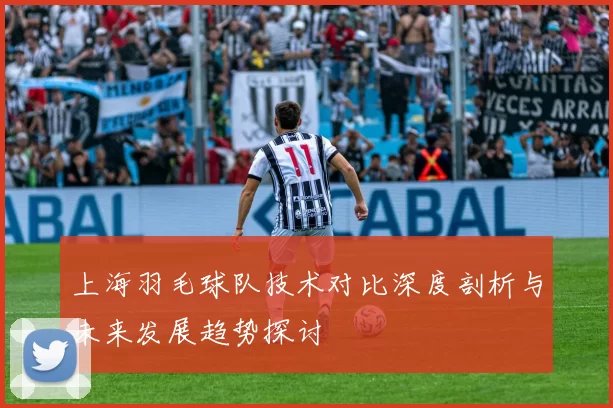 上海羽毛球队技术对比深度剖析与未来发展趋势探讨